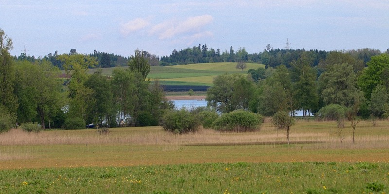 Bild 10 Pfäffikersee IMG 5760