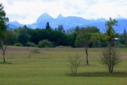 Ausblick auf das Ried @Rita Schmidlin