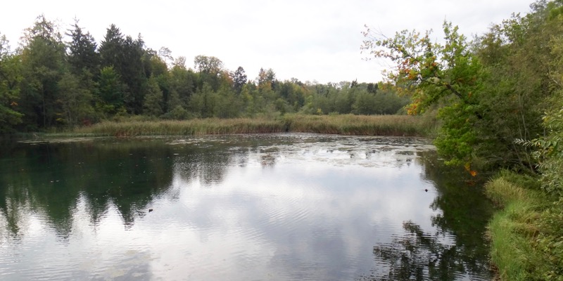 Gerlafingerweiher_1.jpg